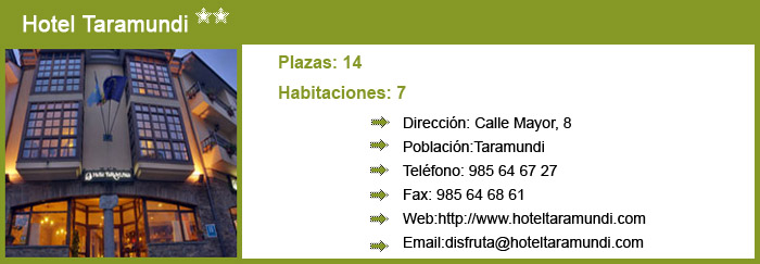 Información Hotel Taramundi