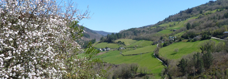 Destacados