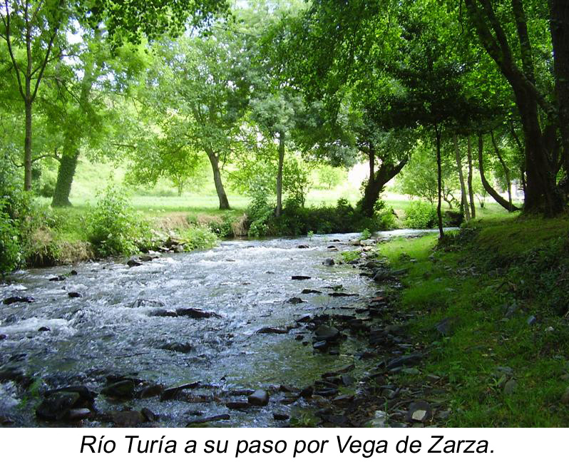 Río Turía