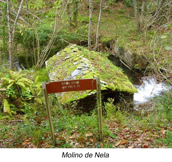 Molino Nela
