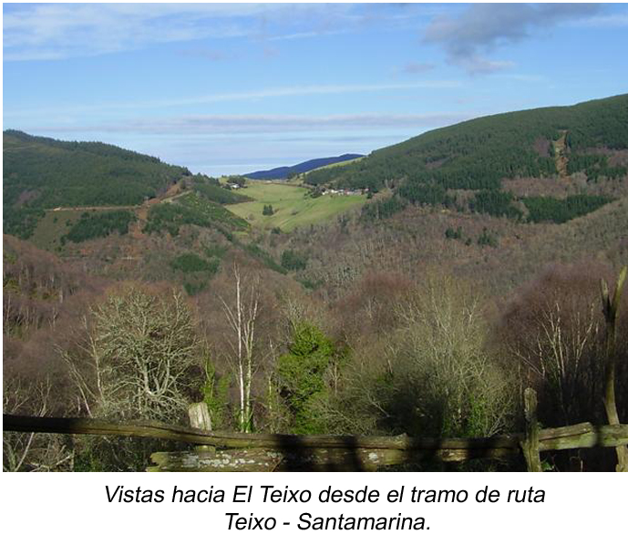 Ruta Teixo-Teixois_Hacia Santamarina