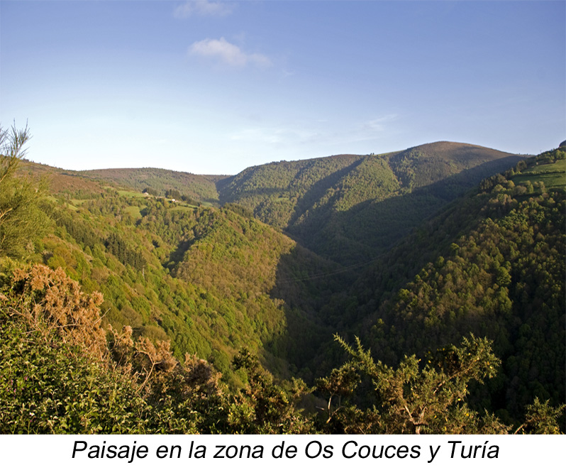 Paisaje zona Os Couces - Turía