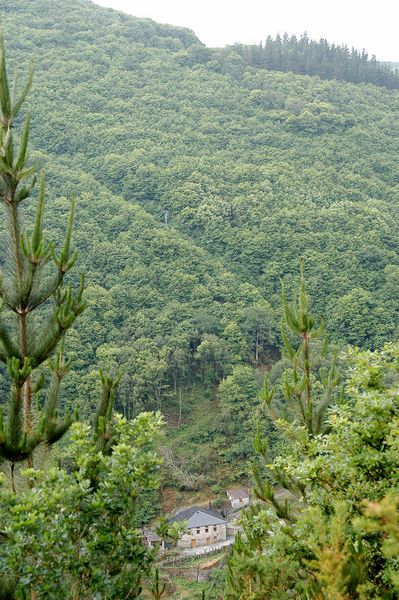 Vista de Veigas