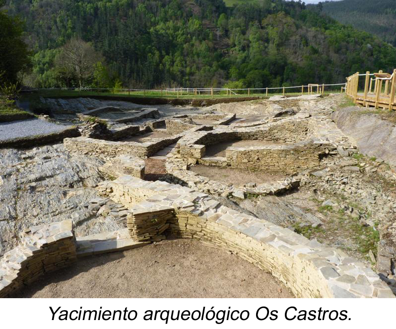 Yacimiento arqueológico Os Castros